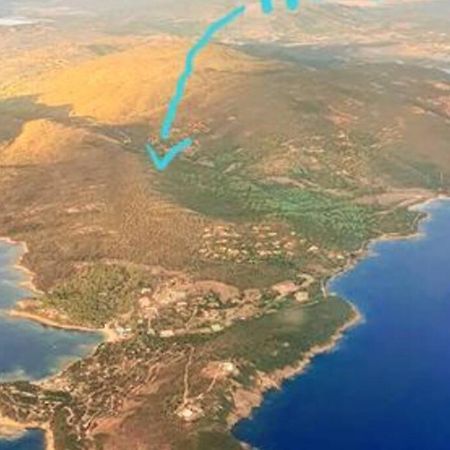 Bergerie #Casa Di Petra A Palombaggia Avec Piscine Βίλα Πόρτο Βέκιο Εξωτερικό φωτογραφία